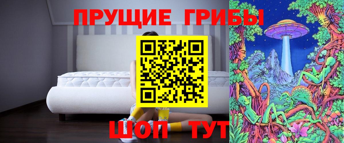 Печора  Псилоцибиновые грибы GOLDEN TEACHER  Вход с VPN 